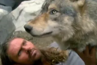 ITV: The man who lives with wolves - Shaun Ellis
