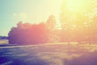 Spring Forward as the Events Season Hots Up!